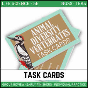 13 1 300x300 - Animal Diversity: Vertebrates - Life Science Task Cards