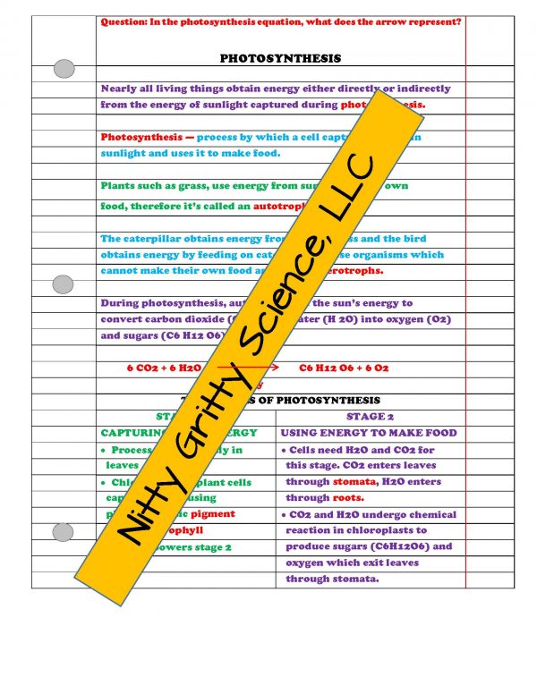 2348848 Page 3 600x776 - Cell Processes and Energy Life Science Notes, PowerPoint & Test~ EDITABLE