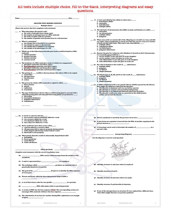 2354801 Page 6 600x776 - Modern Genetics: Life Science Notes, PowerPoint and Test ~ EDITABLE
