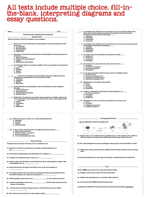 2381059 Page 7 600x800 - Physical Science Curriculum - Notes, PowerPoint & Chapter Tests ~EDITABLE Bundle