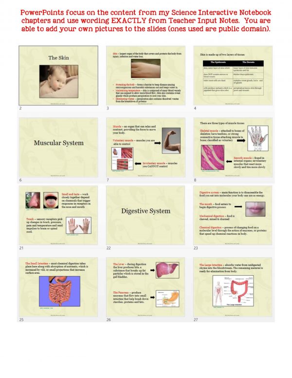 2399151 Page 5 600x776 - Human Body - Part 1: Life Science Notes, PowerPoint & Test ~ EDITABLE