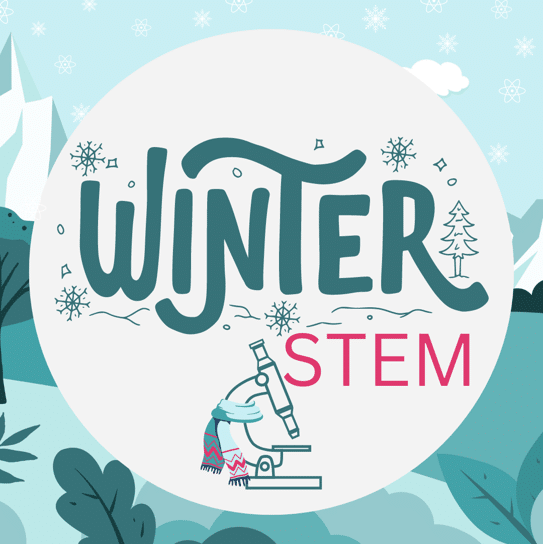 Holiday and Winter Stem