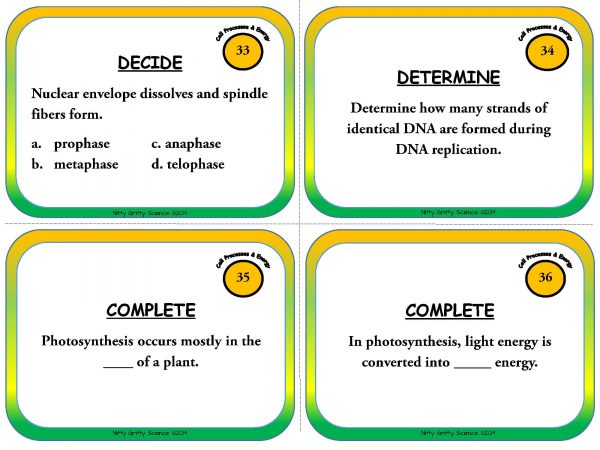 Cell Processes and Energy Page 11 600x450 - Cell Processes and Energy - Life Science Task Cards