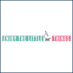 Enjoy The Little Things 300x300 - Enjoy the Little Things