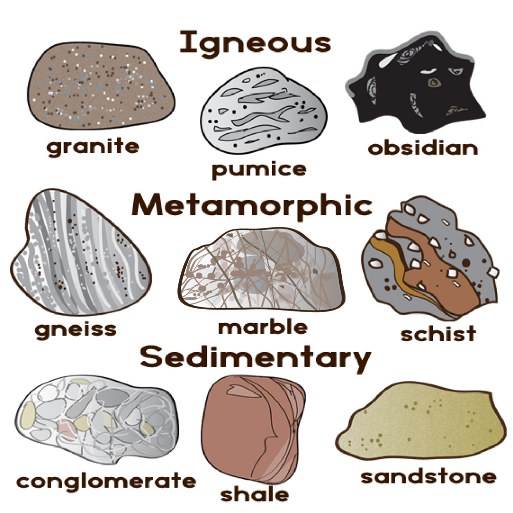Igneous Sedimentary Metamorphic Rock Chart