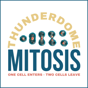 Mitosis Thunderdome 3 300x300 - Mitosis Thunderdome