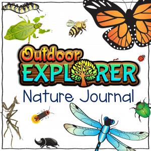 FREE Nature Journal from Nitty Gritty Science (for a limited time)