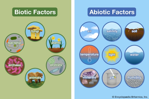 section-4-organisms-their-environment-nitty-gritty-science