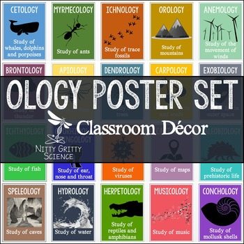 original 2804083 1 - Science Classroom Posters - OLOGY Poster Set