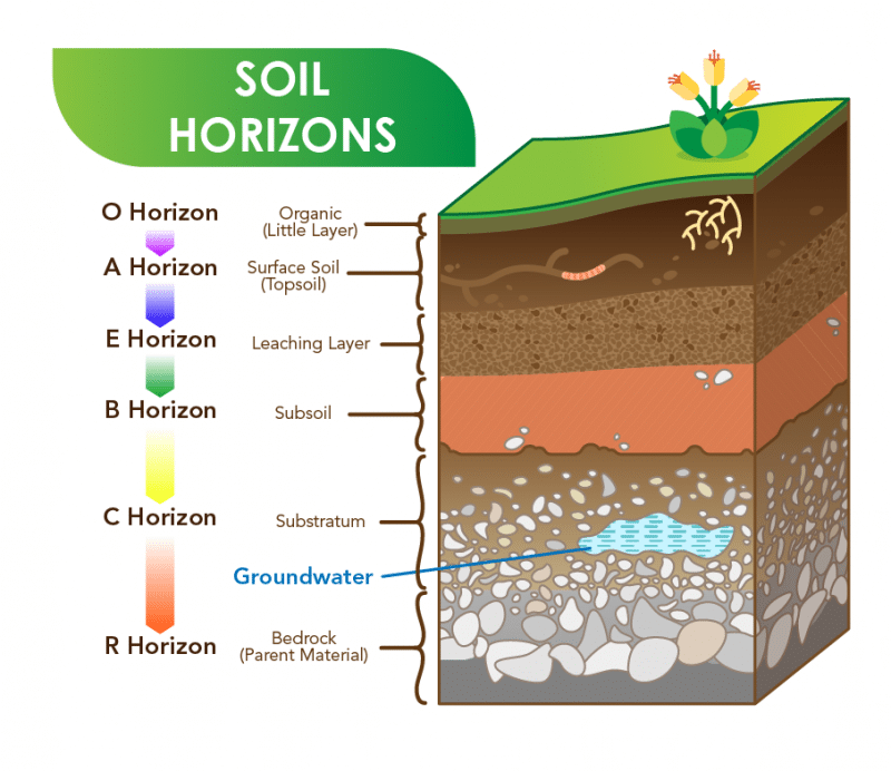 Top Layer Of Soil Horizon at Sean Lively blog